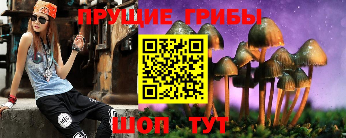 Псилоцибиновые грибы MAGIC MUSHROOMS Тула